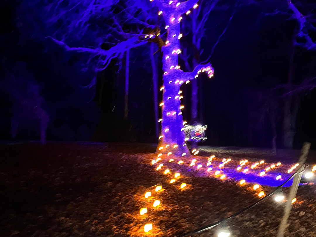 Audley End Miniature Railway-Saffron Walden必去景点