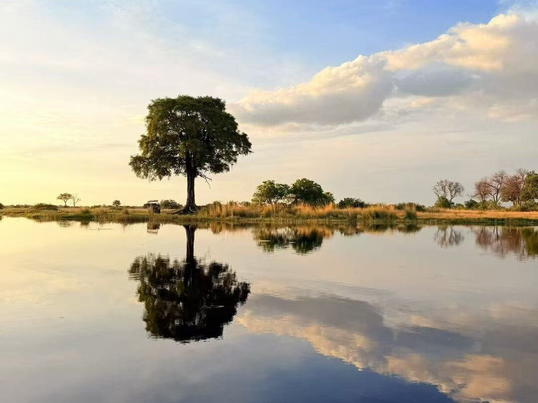 Safari Specialists-马翁必去景点