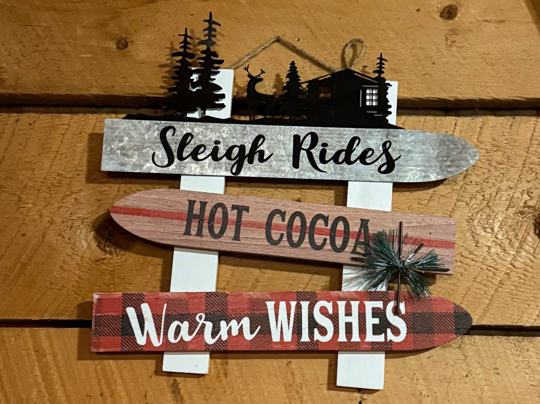 Bar Lazy L Ranch Sleigh Ride-斯廷博特斯普林斯必去景点