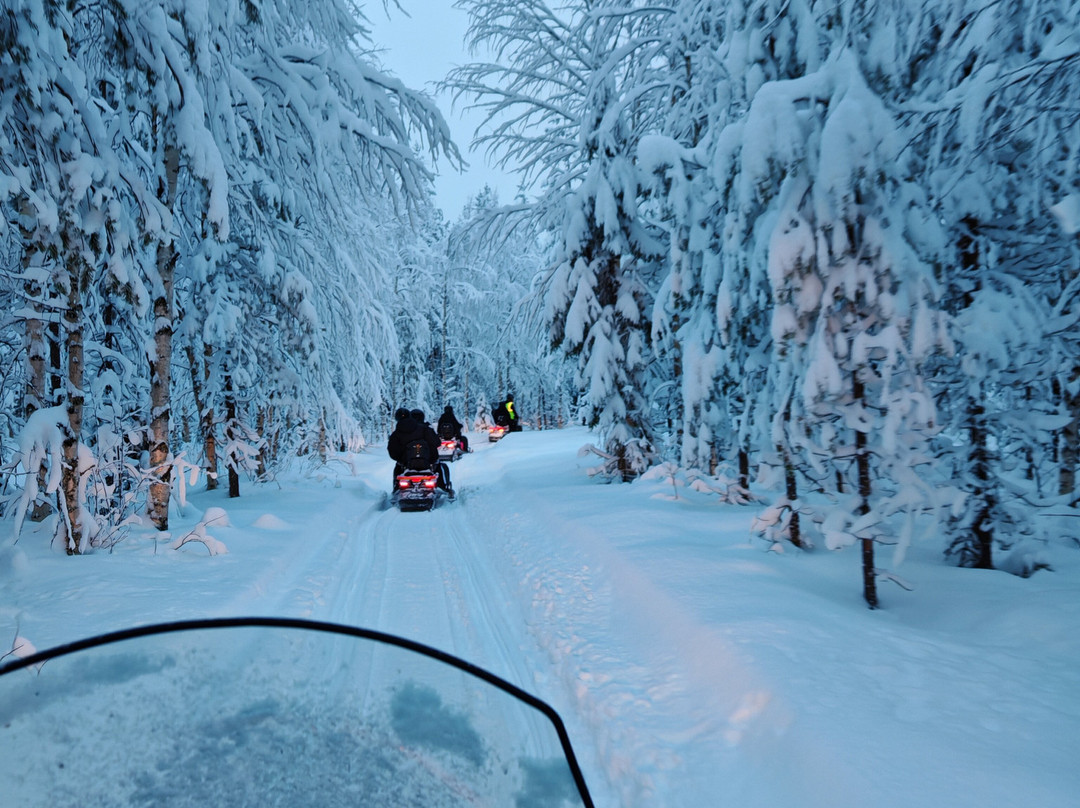 Aavasaksa Adventures-Ylitornio必去景点