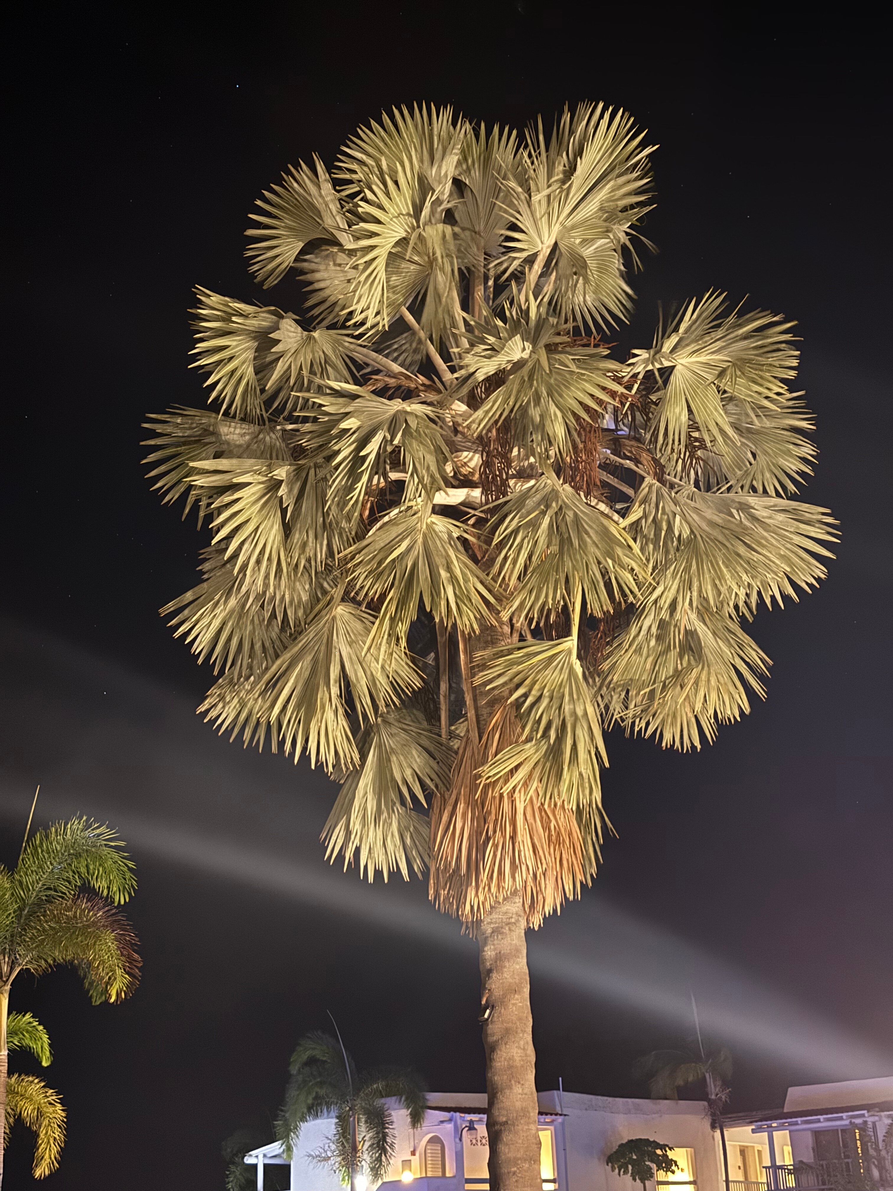 Jolly Beach Antigua-浴室