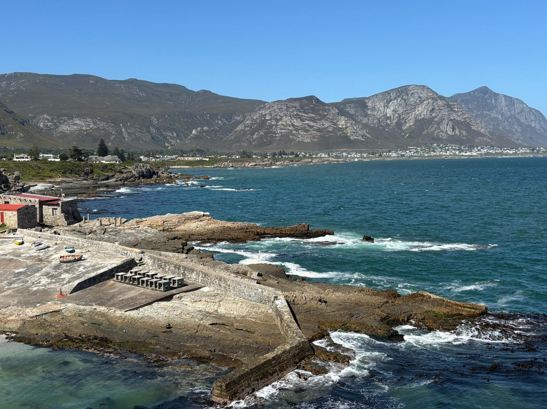 Hermanus Cliff Path-赫曼努斯必去景点