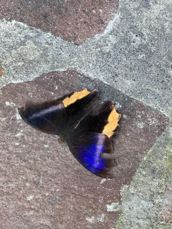 Hideaway Rio Celeste Hotel-浴室