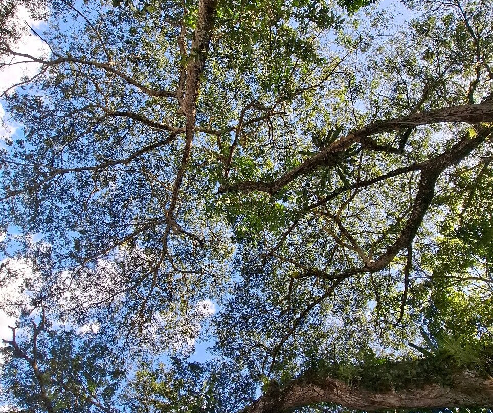 Caño Negro Wildlife Refuge-Cano Negro必去景点