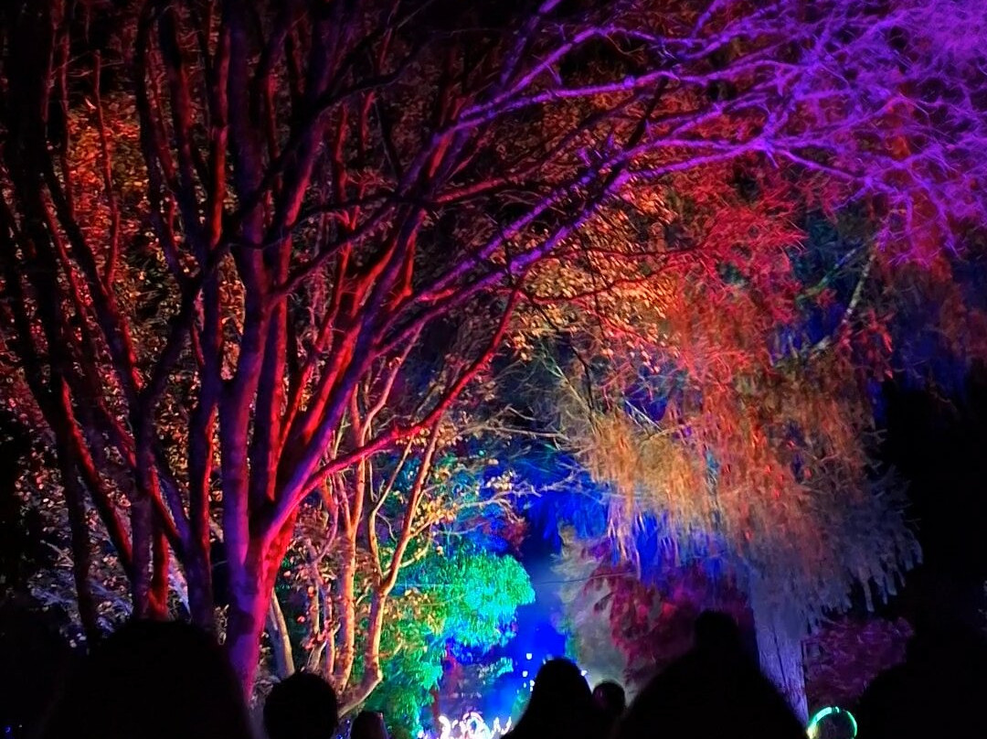 Light Up Trails-罗姆西必去景点