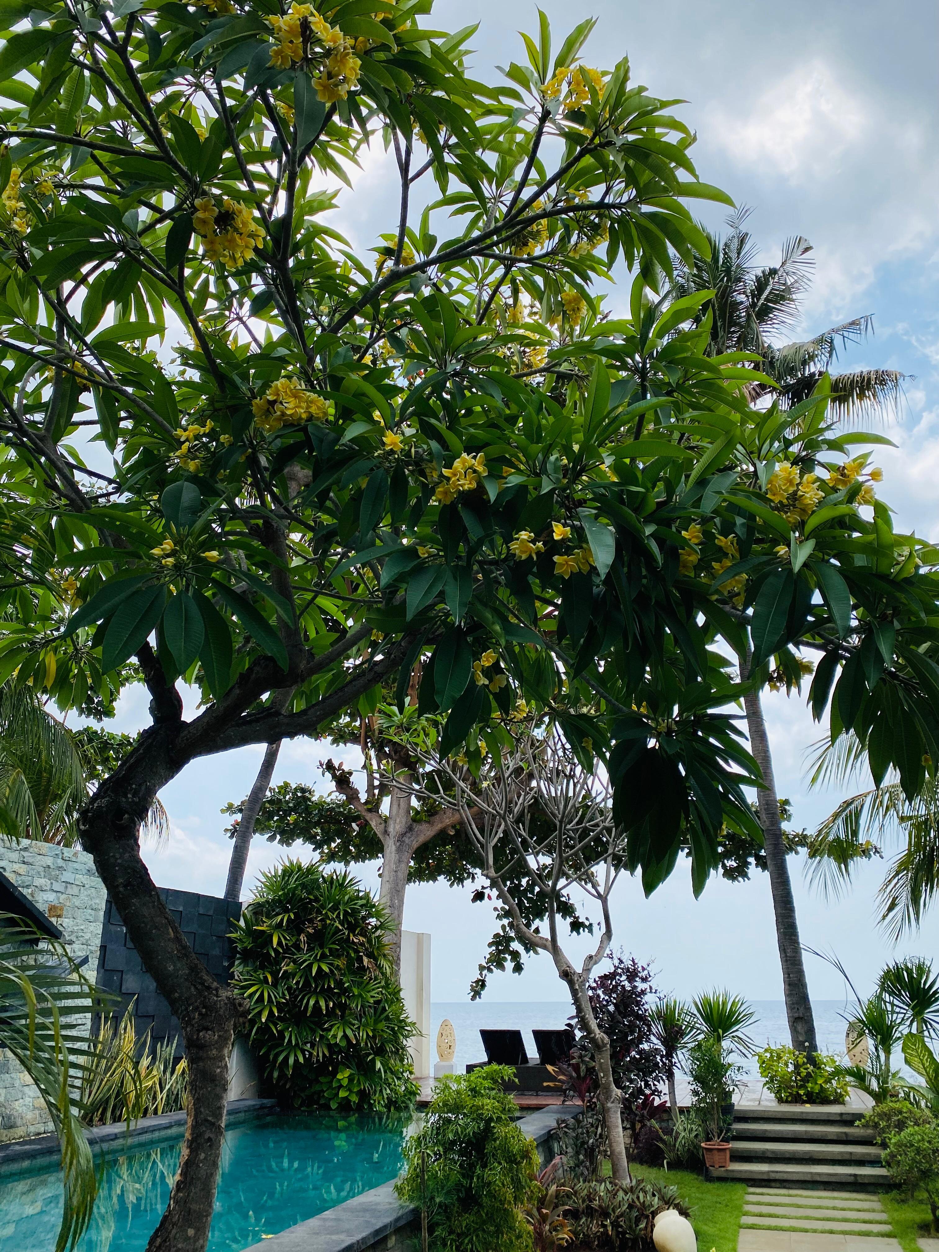 尼古拉罗维娜湾度假村-官方