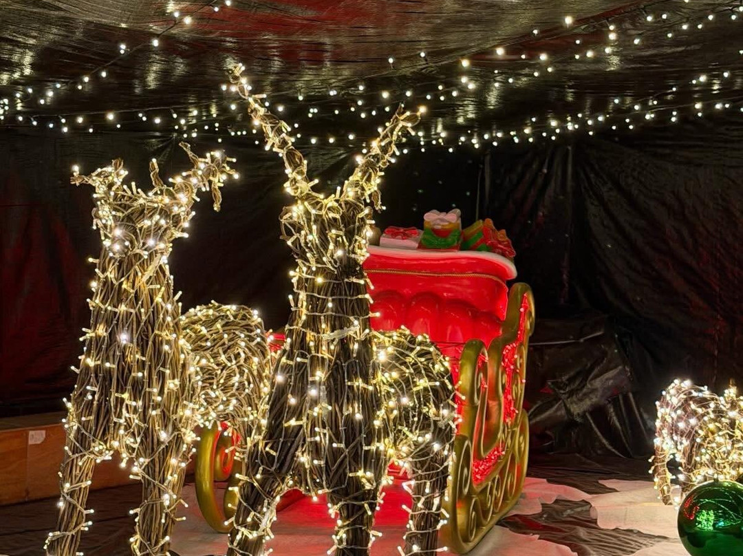 Attwell Farm Park-雷迪奇必去景点