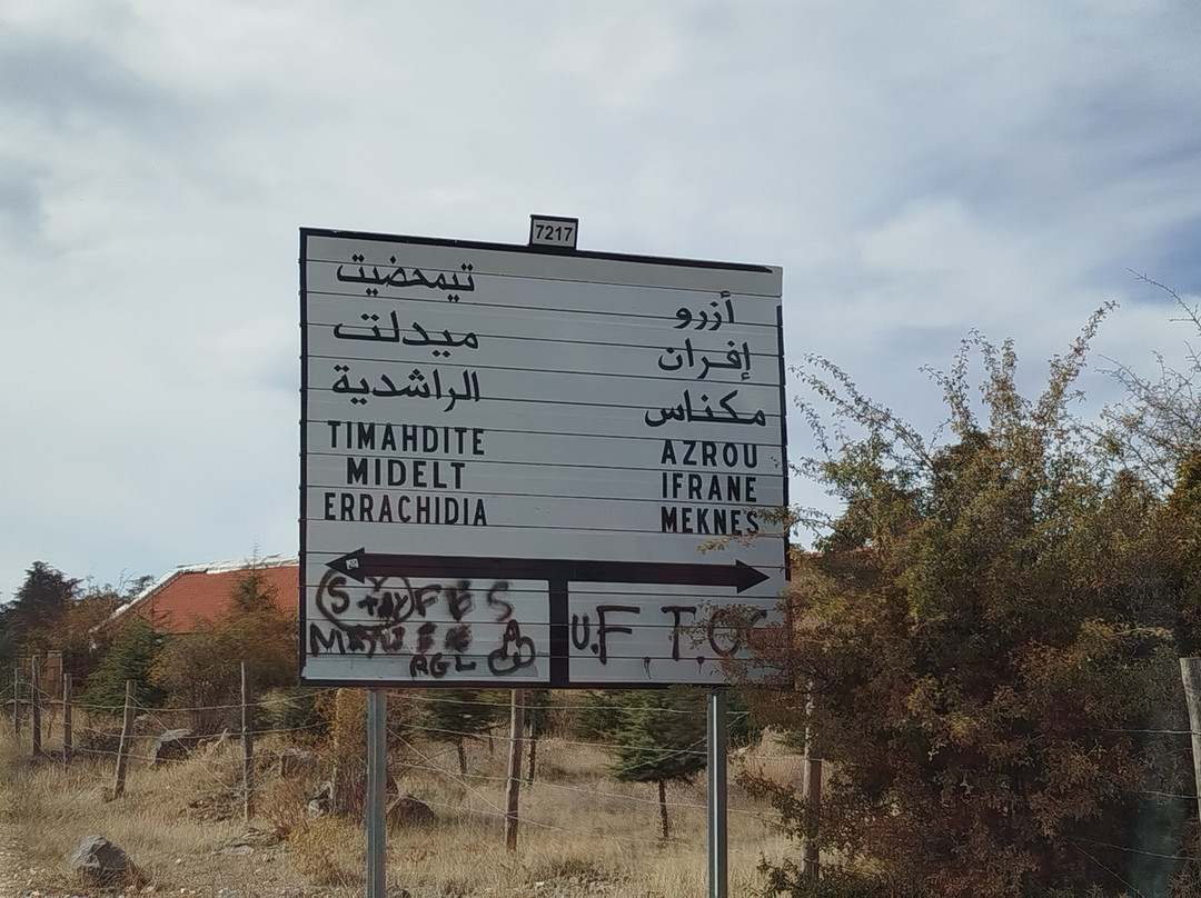 Azrou Cedar Forest-Azrou必去景点