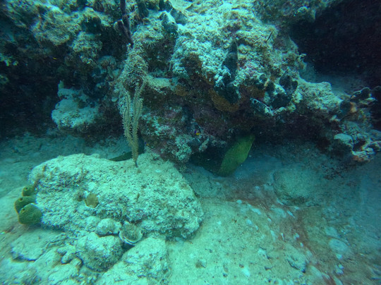 Deep Blue Divers-大开曼岛必去景点