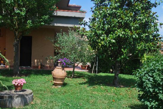 BeB Querciolaia主图