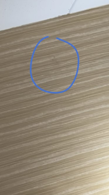 曼彻斯特波士顿地区机场万枫酒店-客卧