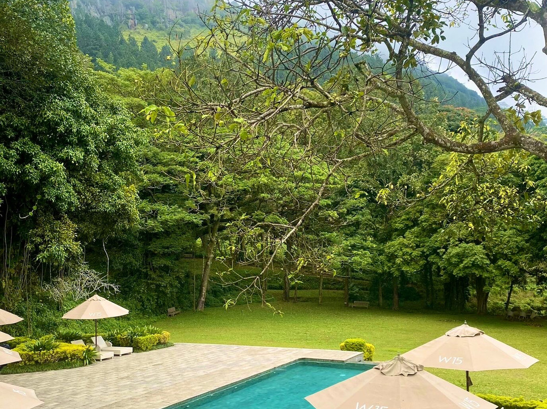 W15 Hanthana Estate Kandy主图