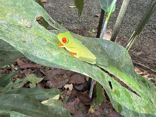 Blue Crab Water Adventures and Tours-塔马林多必去景点