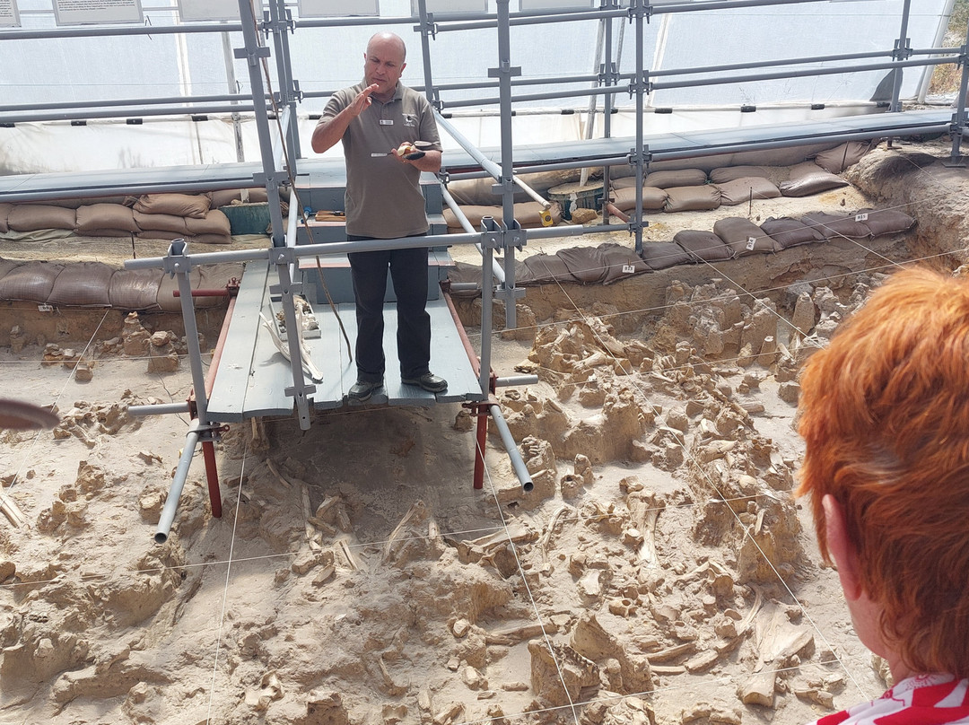 West Coast Fossil Park-Vredenburg必去景点