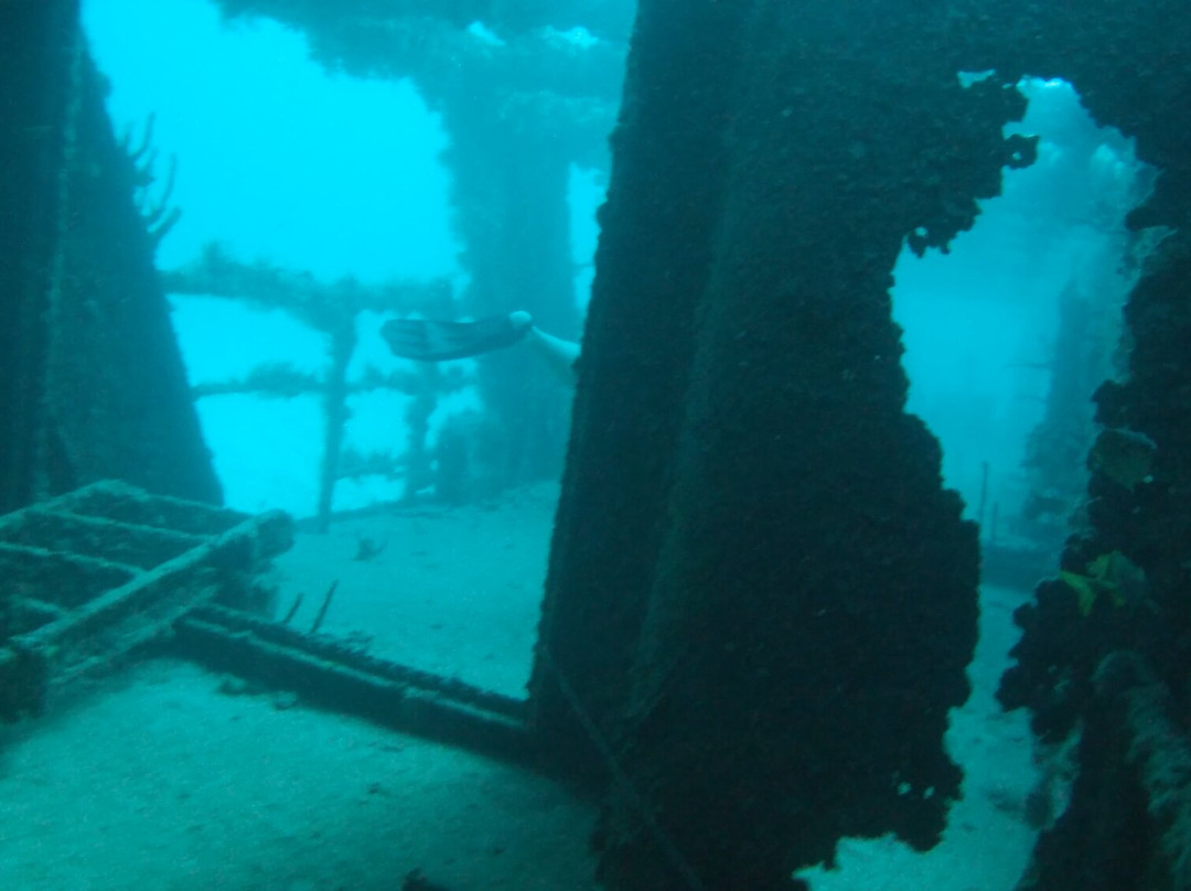 Squalo Divers-坎昆必去景点