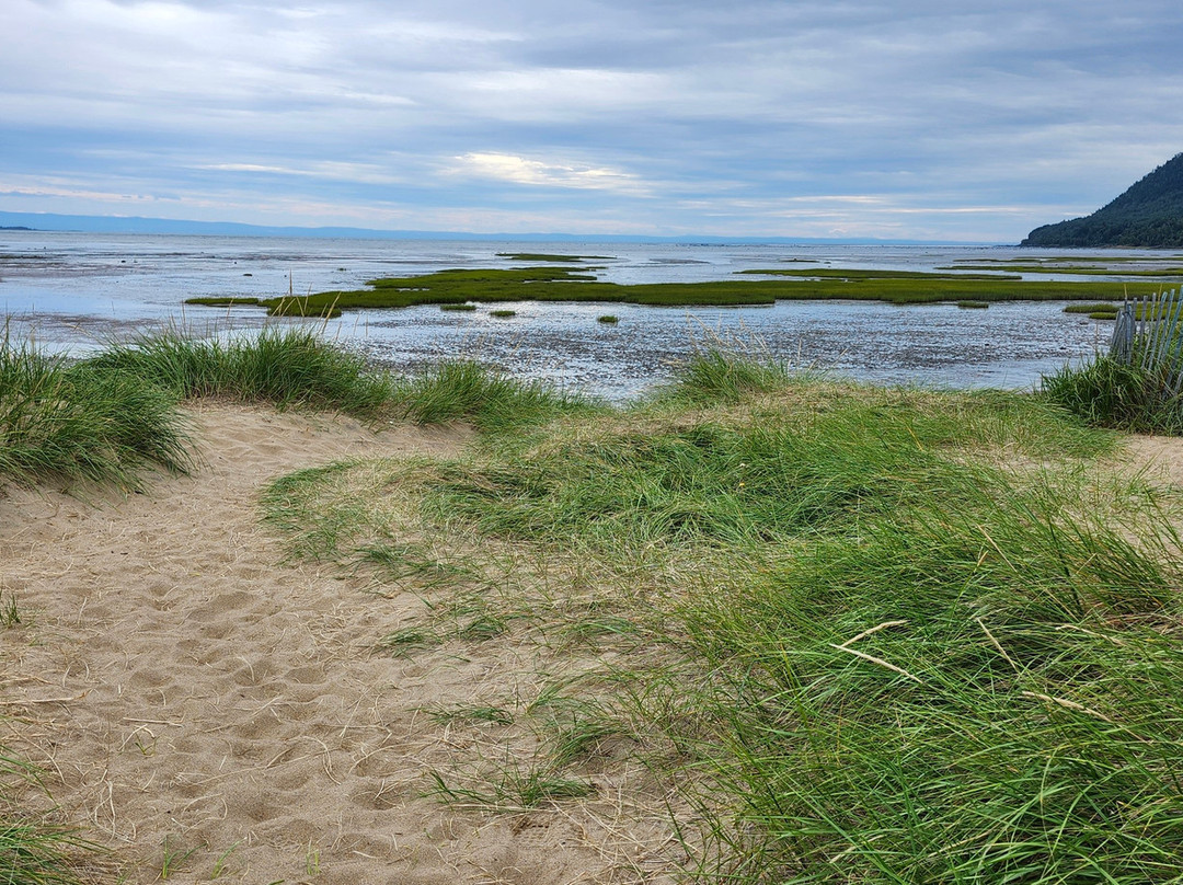 Boisé du Quai-Baie-St-Paul必去景点