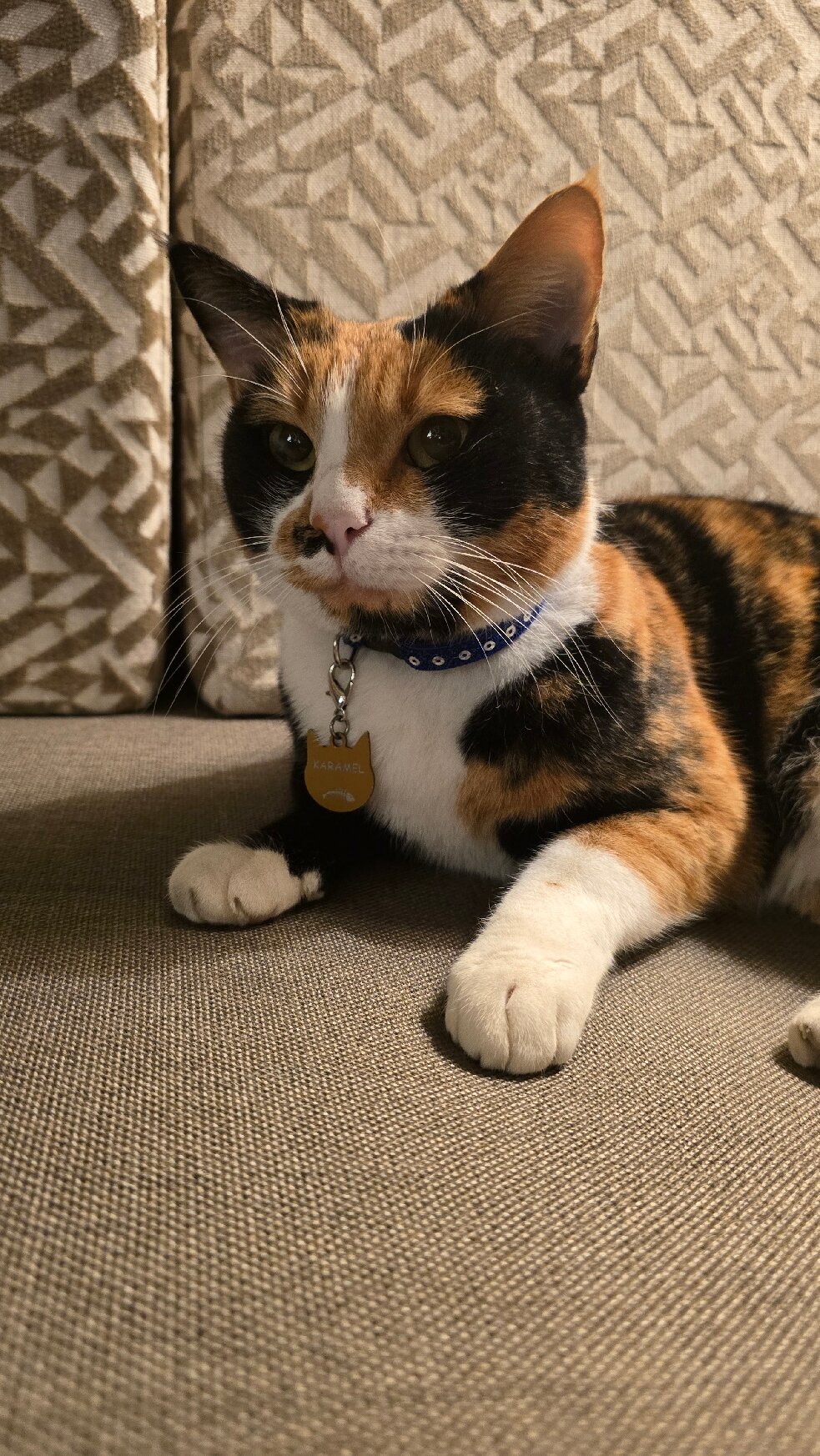 卡亚宫高尔夫度假酒店-官方