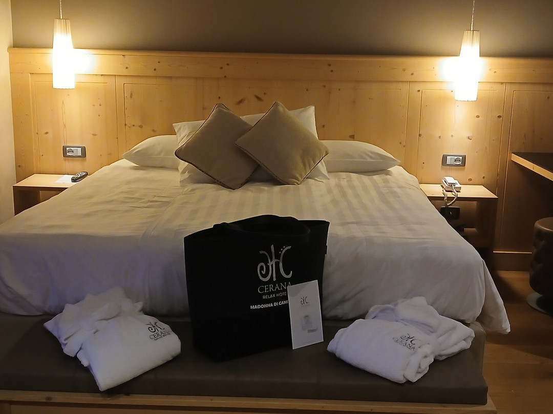 Cerana Relax Hotel主图