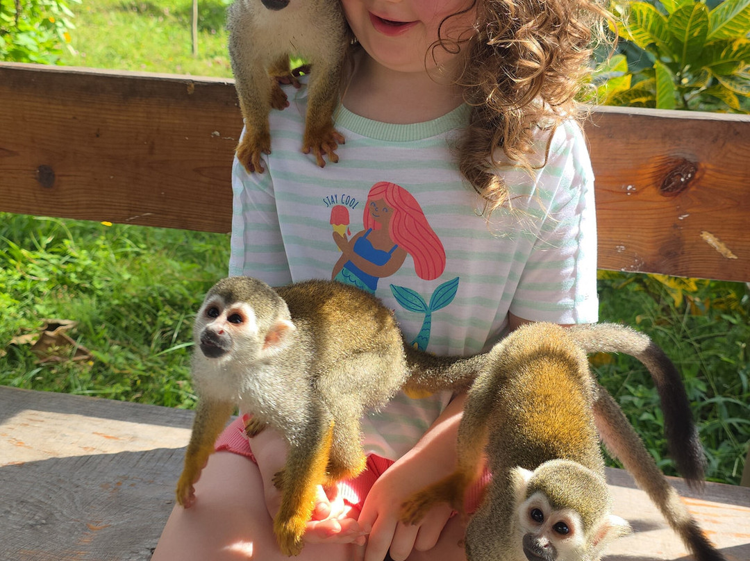 Monkey Home Puerto Plata-普拉塔港必去景点