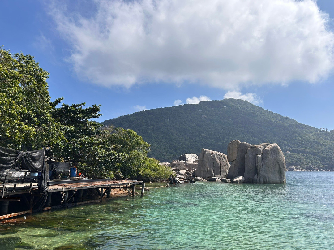 Diamond Tour - Day Tours-涛岛必去景点