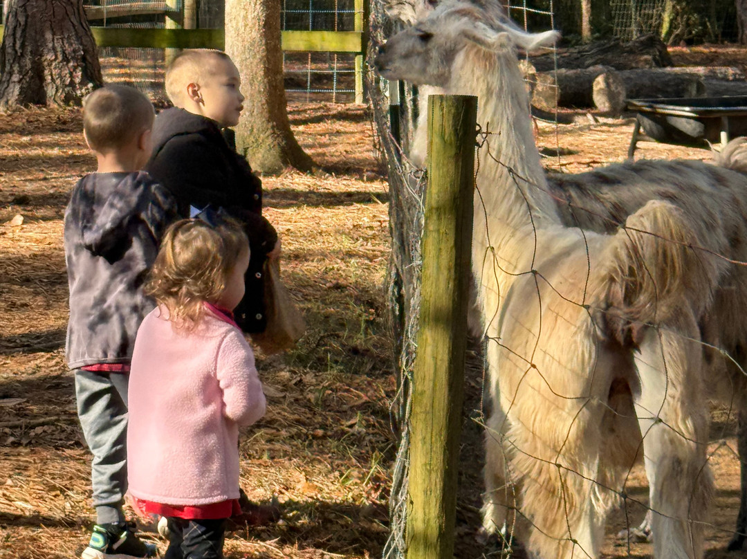 Redemptive Love Farm-Miccosukee必去景点