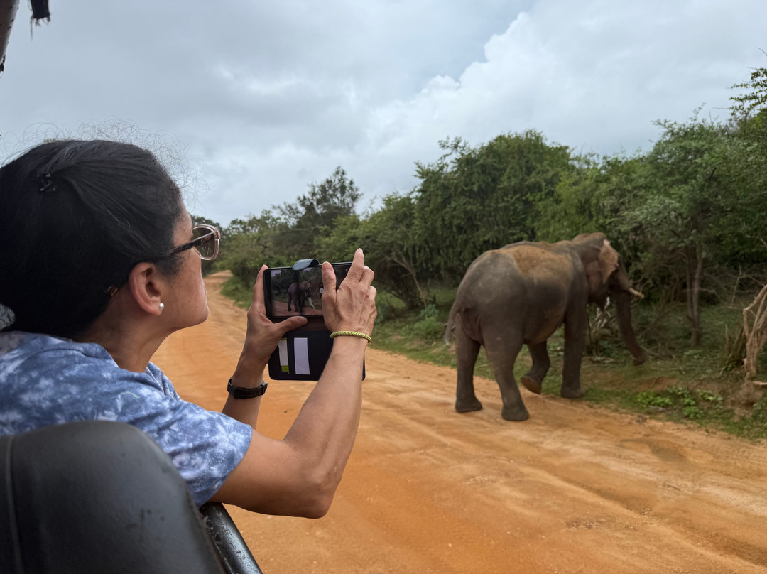 Lankan Dream Tours-Hambantota必去景点