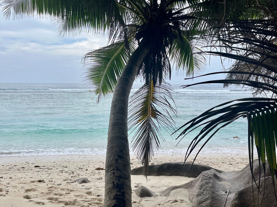Crystal Water Kayaks-L'Union必去景点