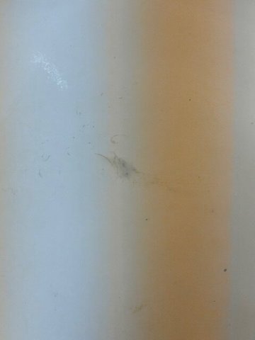 阿普尔顿市中心AmericInn酒店-浴室