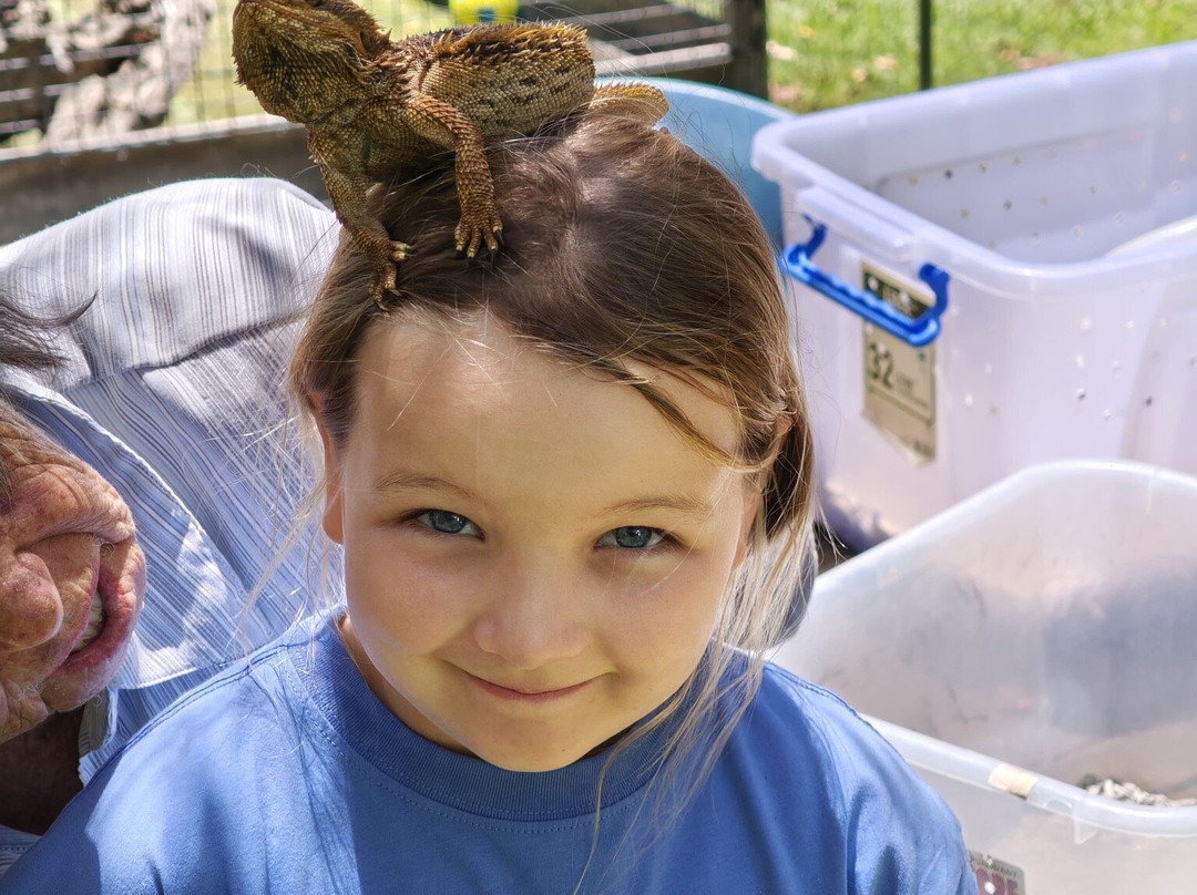 Jirrahlinga Dingo Conservation & Wildlife Education Centre-Chewton必去景点