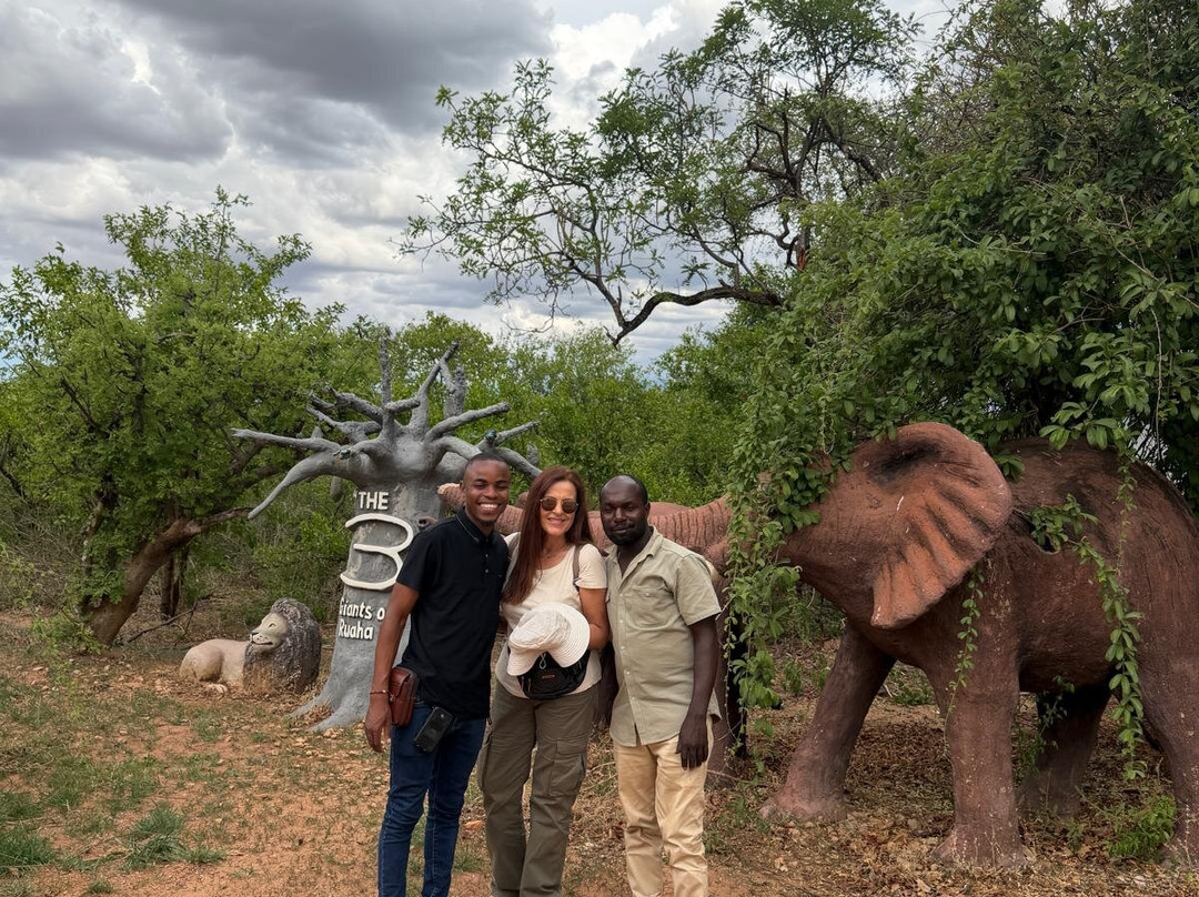 African Ratel Safari-Dar es Salaam必去景点