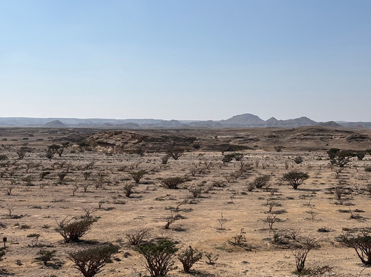 Arabian Travel Service-塞拉莱必去景点