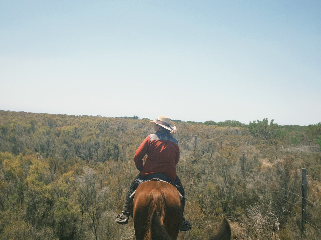 Adventure Horse Safari's-莫塞尔贝必去景点