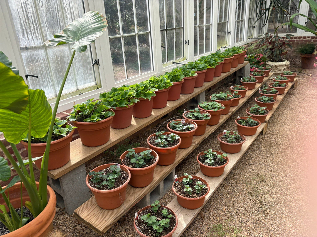 Rosedown Plantation State Historic Site-Saint Francisville必去景点