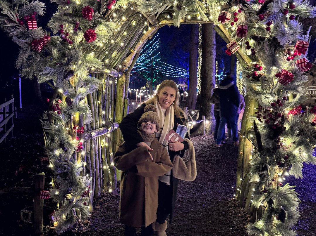 Audley End Miniature Railway-Saffron Walden必去景点
