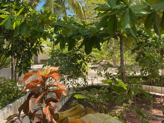 Karanga Bungalows主图