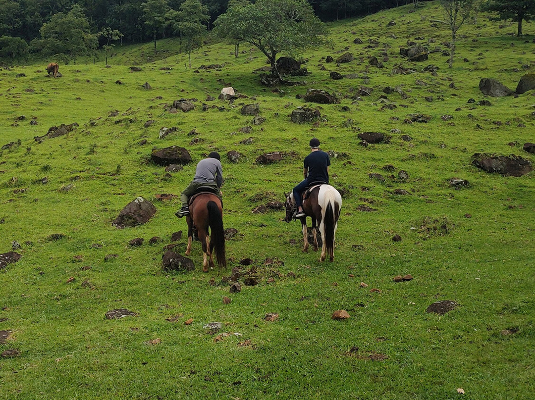 Encantos Do Sul Adventure-Praia Grande必去景点