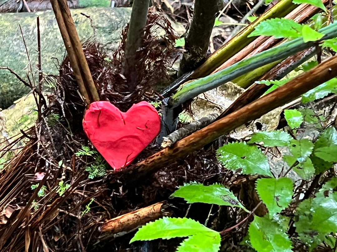 Yarndley's Bush-Te Awamutu必去景点