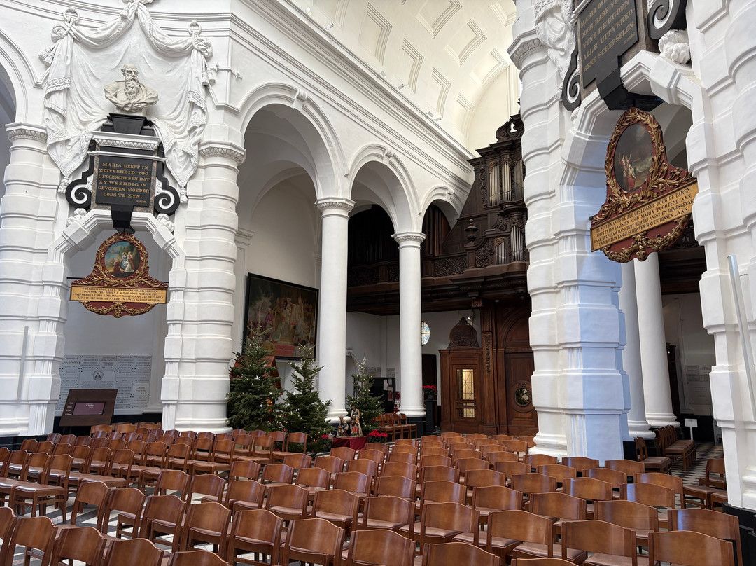 Onze-Lieve-Vrouw van Hanswijk-梅赫伦必去景点