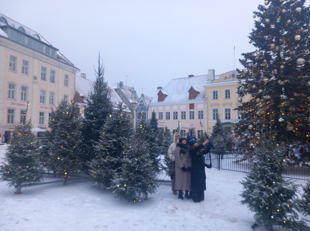 市政厅广场-塔林必去景点