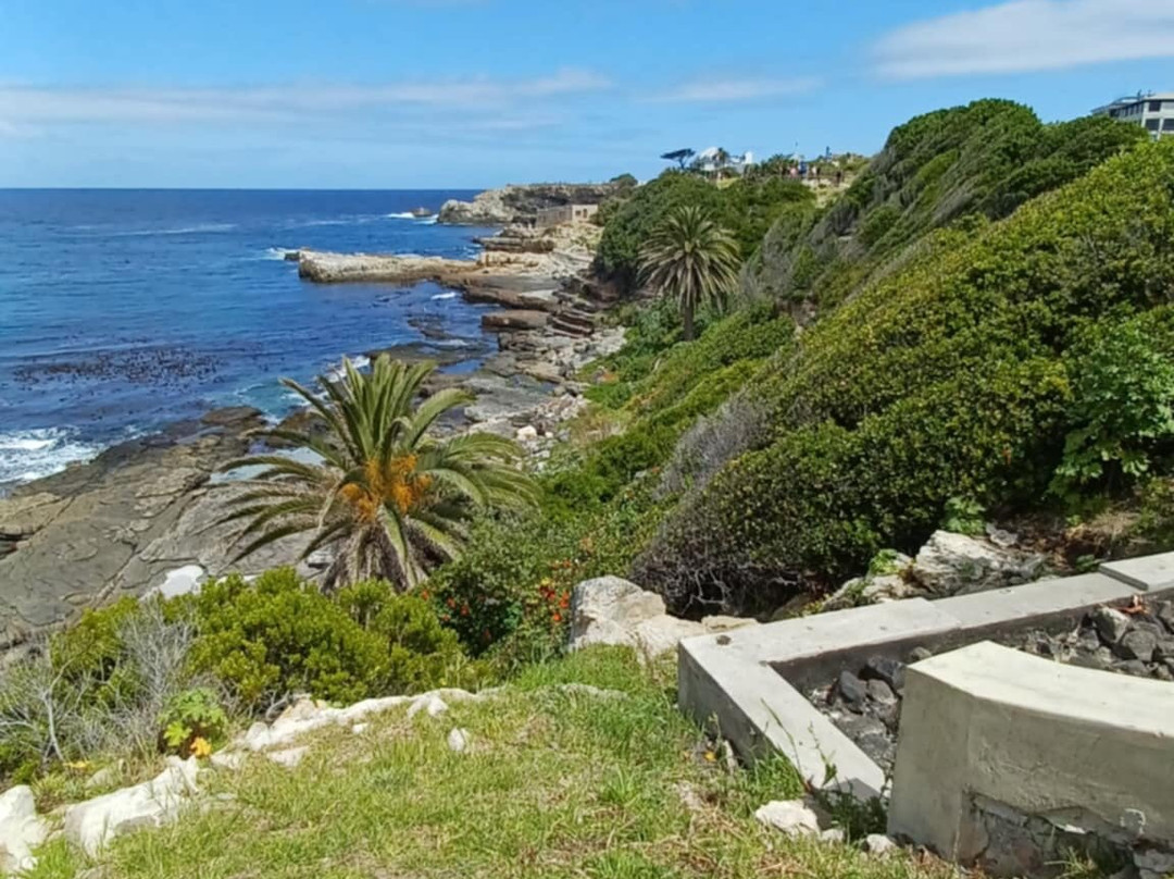 Gearing's Point-赫曼努斯必去景点