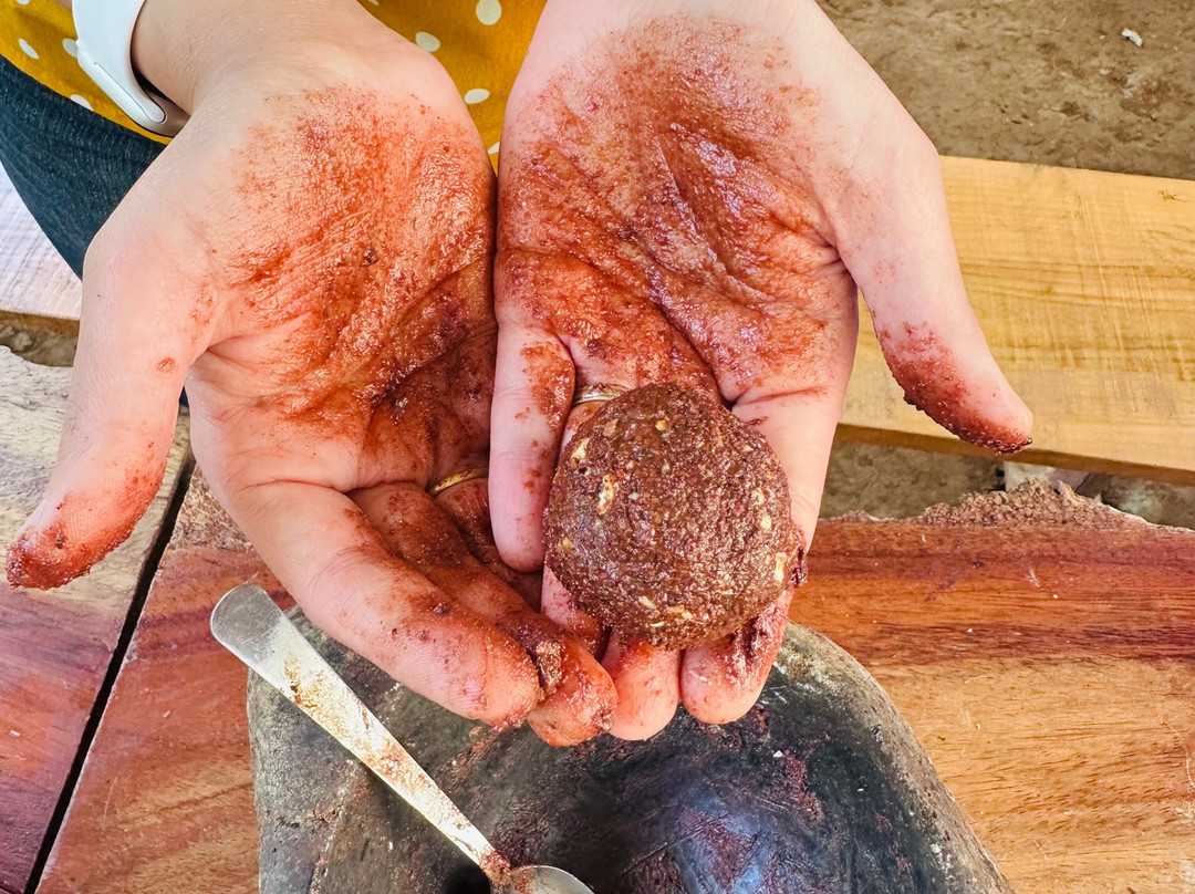 TIO JOSE COFFEE TOUR-葛雷西亚必去景点