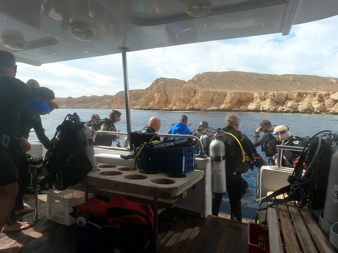 Sinai Dive Club-沙姆沙伊赫必去景点