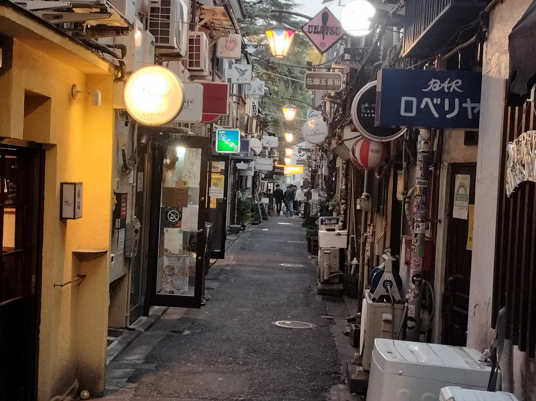 新宿黄金街-Kabukicho必去景点