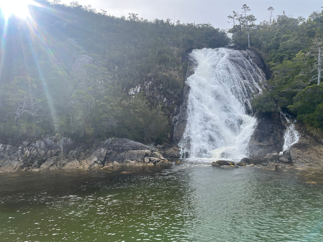 Canales Australes-Tortel必去景点
