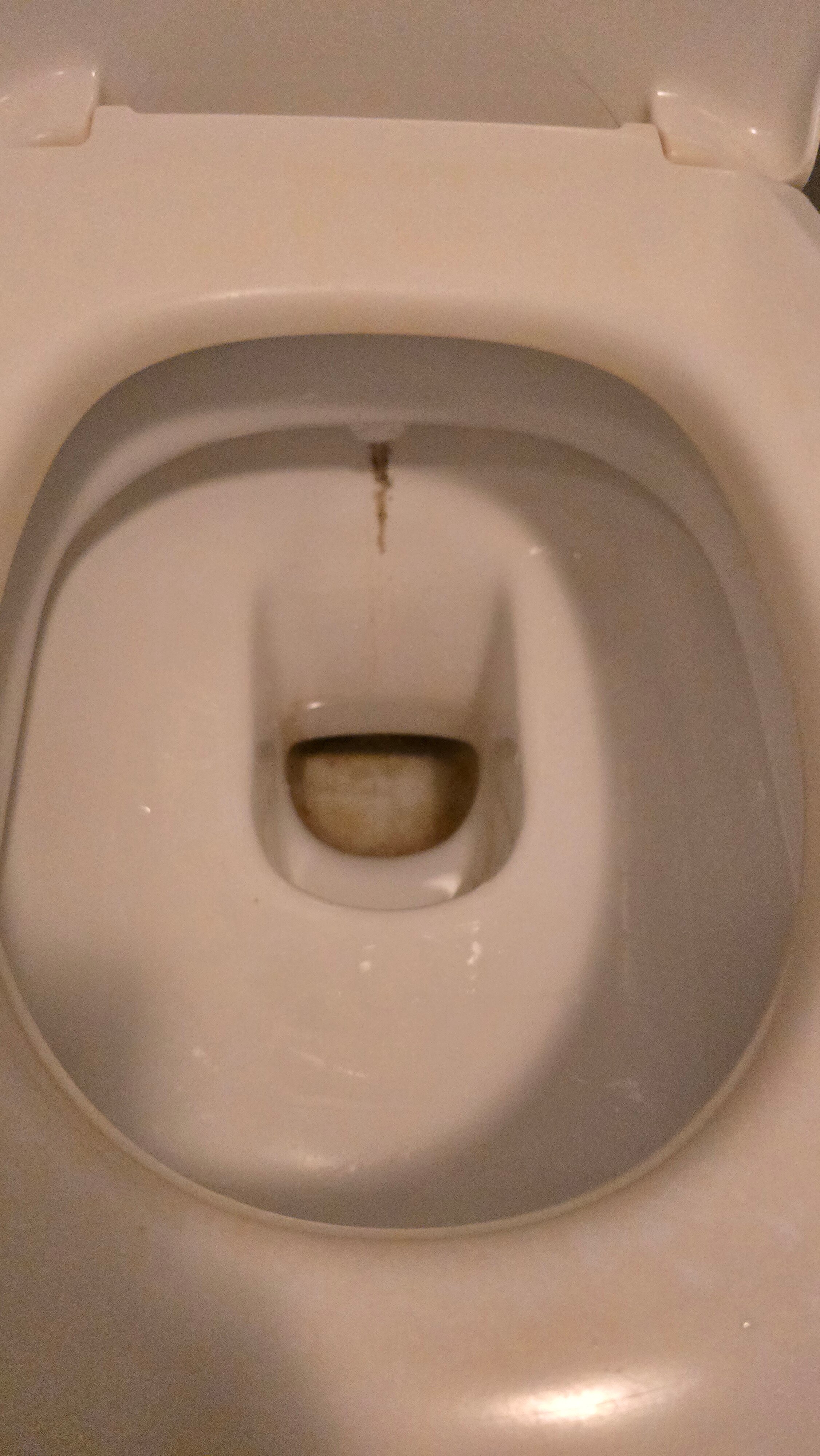 Sport Hotel Kenzingen-官方