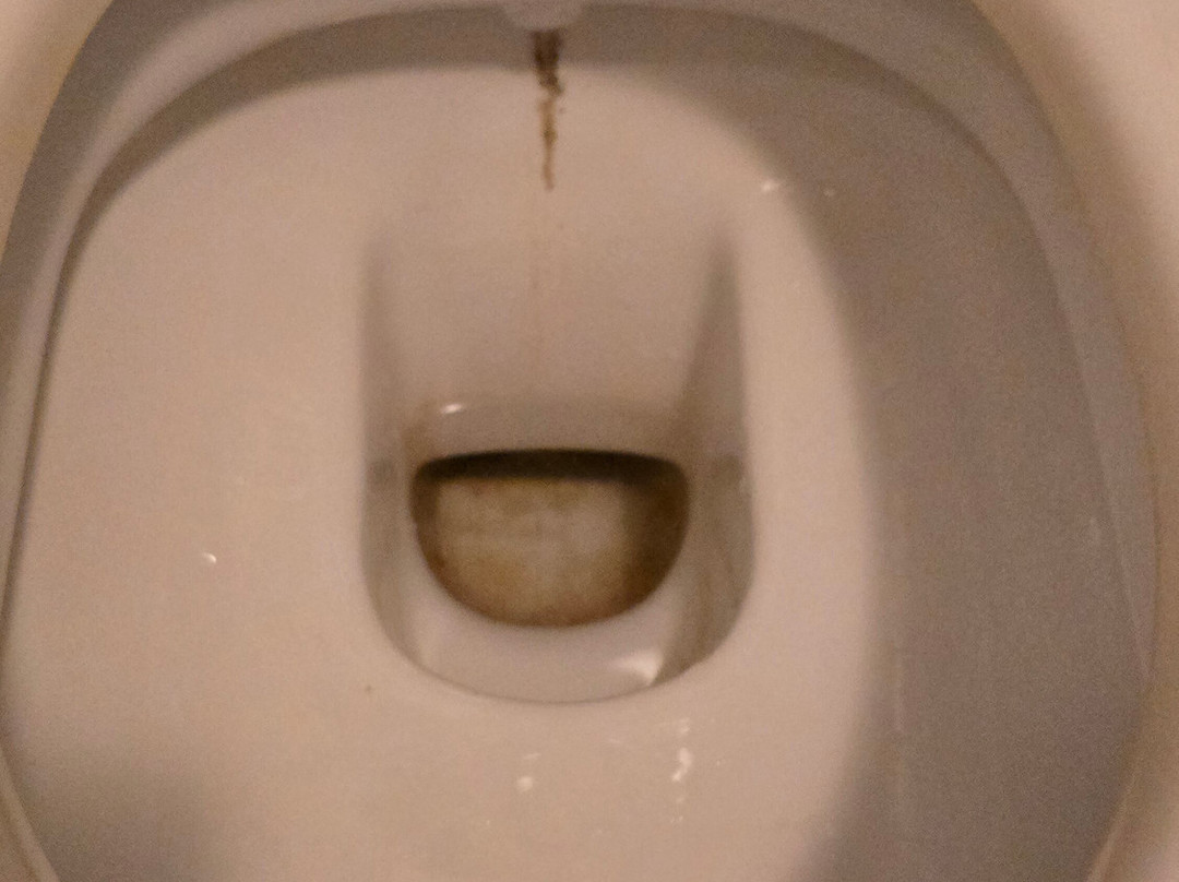 Sport Hotel Kenzingen主图