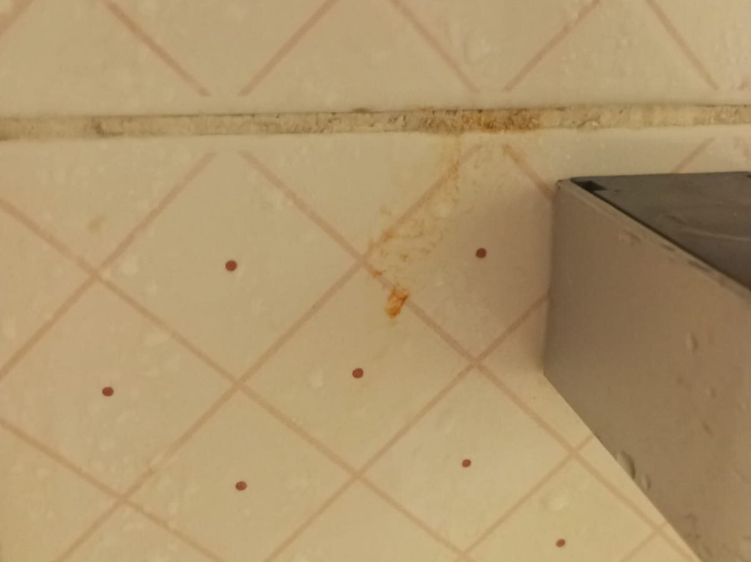 Azal Pyramids Hotel主图