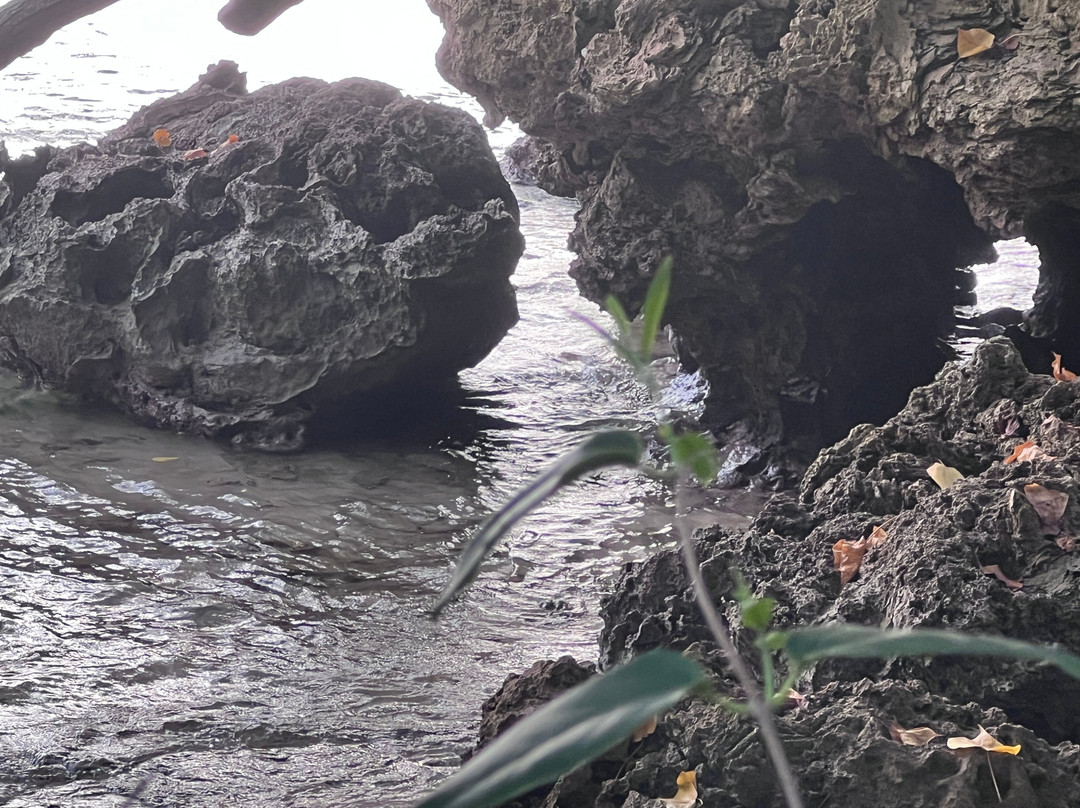 Turtle Bay-卡胡库必去景点