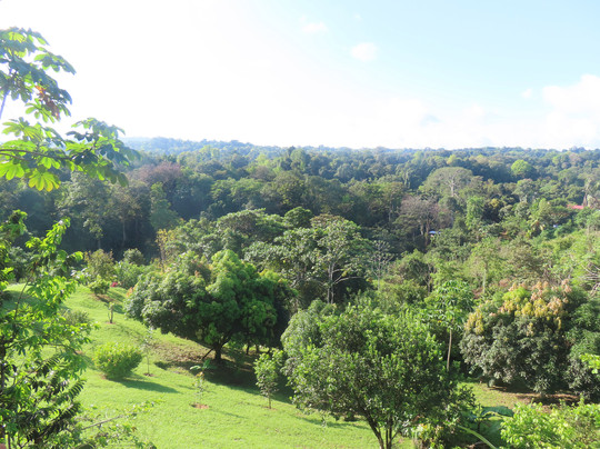 Hotel Villa Manolo主图