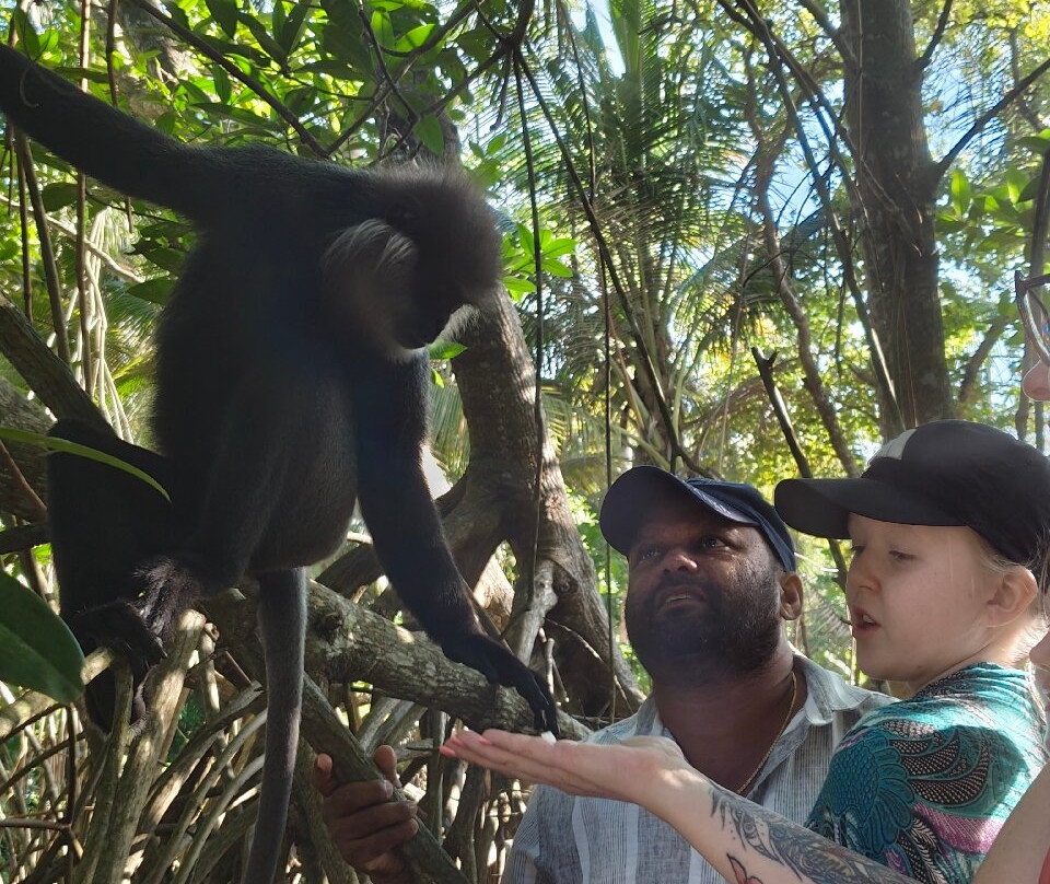 Lucky Boat Safari-班托塔必去景点